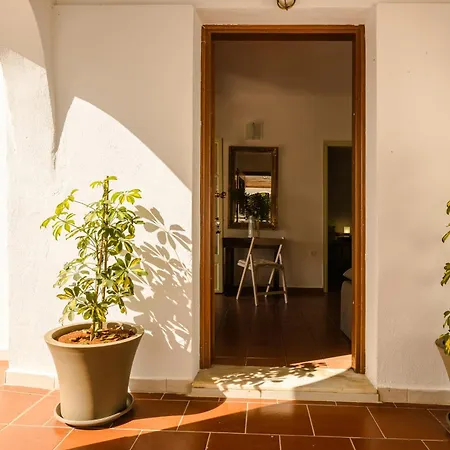 Noi- Noi The Apartament Antipata (Erisos)